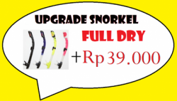 large UPGRADE SNORKEL  Copy